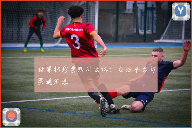 世界杯彩票购买攻略：合法平台与渠道汇总