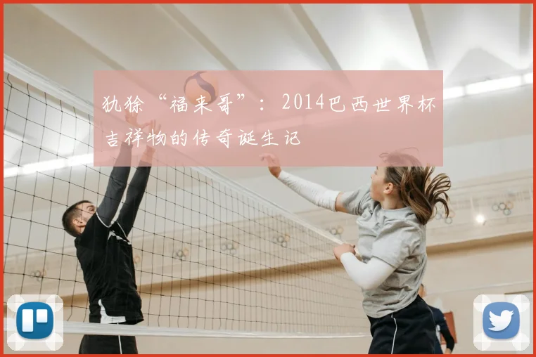 犰狳“福来哥”:2014巴西世界杯吉祥物的传奇诞生记