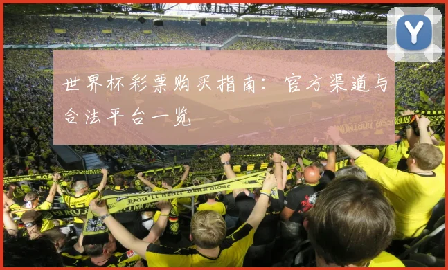 世界杯彩票购买指南：官方渠道与合法平台一览