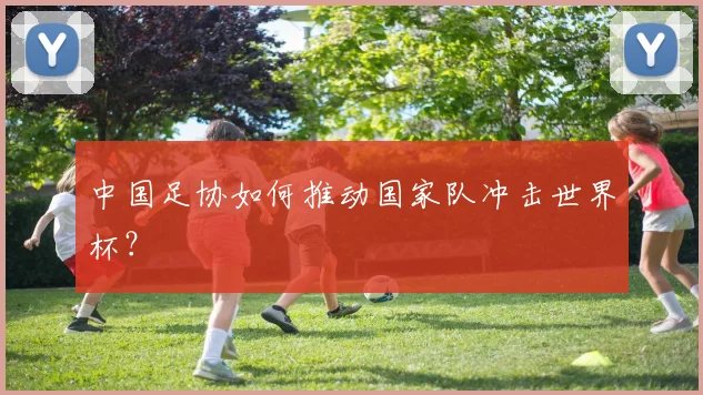 中国足协如何推动国家队冲击世界杯?