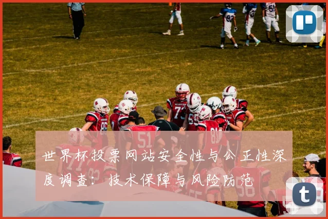世界杯投票网站安全性与公正性深度调查:技术保障与风险防范
