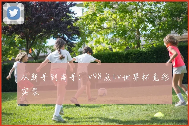 从新手到高手：v98点tv世界杯竞彩实录