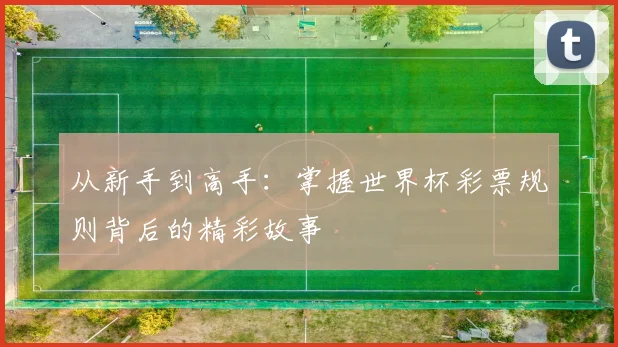 从新手到高手：掌握世界杯彩票规则背后的精彩故事