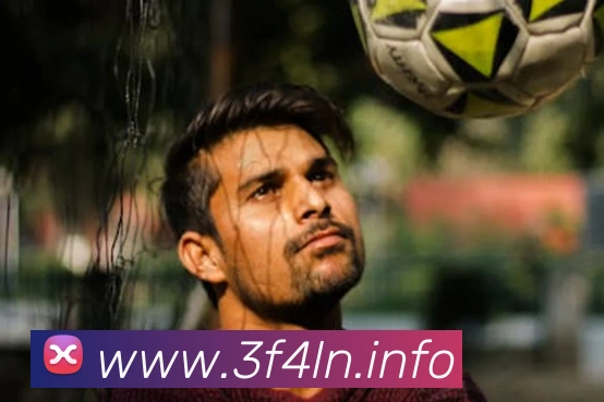 九游j9游戏网站平台生态图